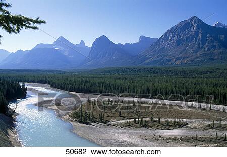 Stock Image - River flowing through landscape, Icefields Parkway, Alberta, Canada . Fotosearch