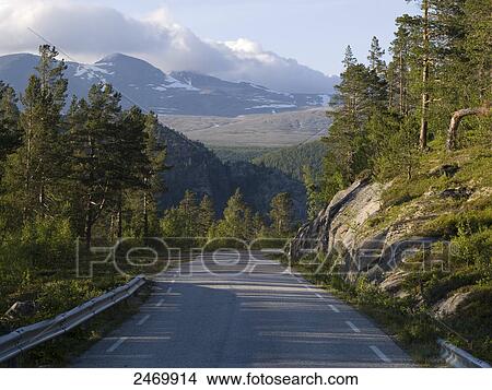 Picture - Road passing through mountains, Rondane National Park, Norway . Fotosearch
