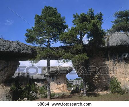 Picture - Rock formation and trees, Enchanted city (Ciudad encantada), Cuenca, Castilla-la mancha, Spain . Fotosearch