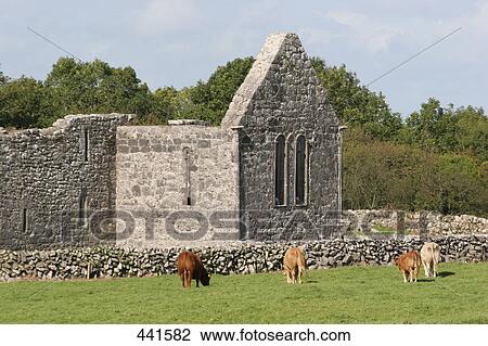 Stock Image - Ruins of monastery, Kilmacduagh Monastery, Galway County, Republic of Ireland . Fotosearch