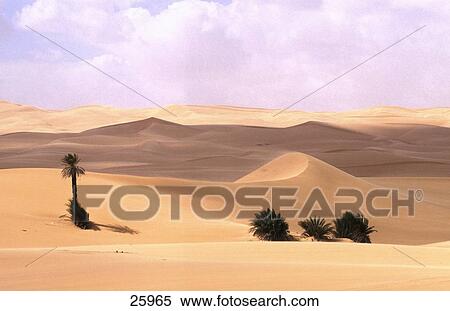 Stock Photography - Sand dunes and palm trees in desert, Sahara Desert, Libya . Fotosearch