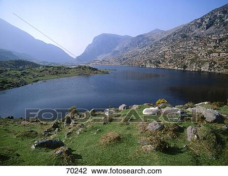 Stock Image - Sheep sitting at water's edge, Gap Of Dunloe, Eire Peninsula, Ring Of Kerry, County Kerry, Munster, Republic Of Ireland . Fotosearch