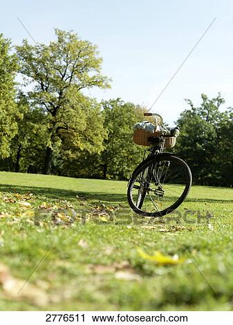 Stock Image - Shopping basket and bicycle in park . Fotosearch