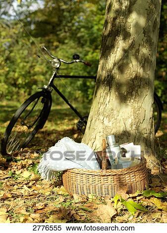 Stock Photography - Shopping basket and bicycle in park . Fotosearch