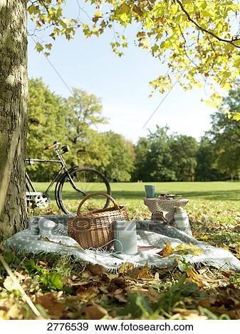 Stock Photo - Shopping basket on blanket in park . Fotosearch