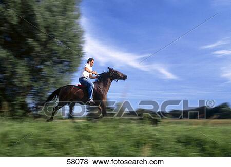 Side profile of man riding horse in field View Large Photo Image Stock Photo - Side profile of man riding horse in field . Fotosearch