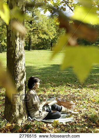 Side profile of mature woman reading book under tree View Large Photo Image Stock Photography - Side profile of mature woman reading book under tree . Fotosearch