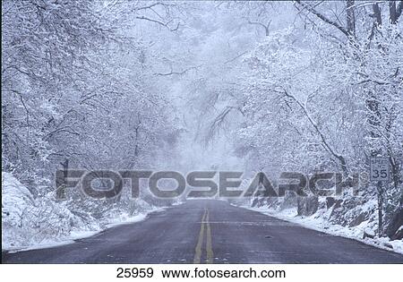 Snow covered trees along empty road, Zion National Park, Utah, USA View Large Photo Image Stock Photo - Snow covered trees along empty road, Zion National Park, Utah, USA . Fotosearch