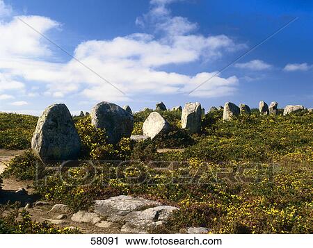 Stock Image - Standing stones in field, Carnac, Morbihan, Brittany, France . Fotosearch