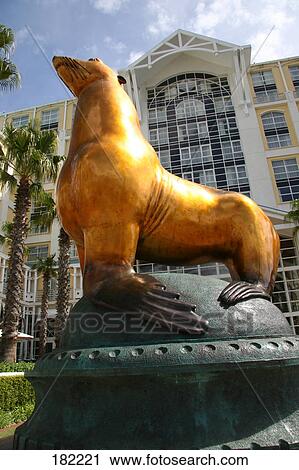 Statue of sea lion in front of hotel, Table Bay Hotel, Cape Town, Western Cape Province, South Africa View Large Photo Image Stock Image - Statue of sea lion in front of hotel, Table Bay Hotel, Cape Town, Western Cape Province, South Africa . Fotosearch