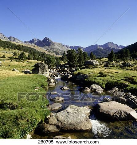 Stream flowing through forest, Andorra View Large Photo Image Stock Photography - Stream flowing through forest, Andorra . Fotosearch
