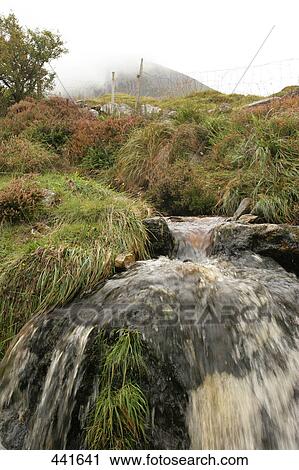 Stream flowing through landscape, Croagh Patrick, County Mayo, Ireland View Large Photo Image Stock Image - Stream flowing through landscape, Croagh Patrick, County Mayo, Ireland . Fotosearch