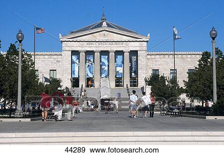 Tourists in front of aquarium, Shedd Aquarium, Chicago, Illinois, USA View Large Photo Image Stock Photo - Tourists in front of aquarium, Shedd Aquarium, Chicago, Illinois, USA . Fotosearch