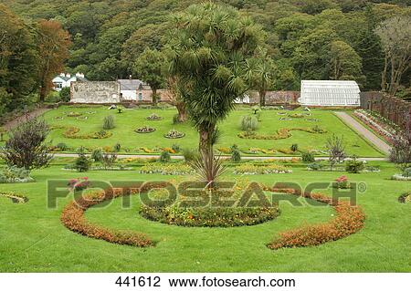 Stock Image - Tree in formal garden, Kylemore Abbey, Republic of Ireland . Fotosearch