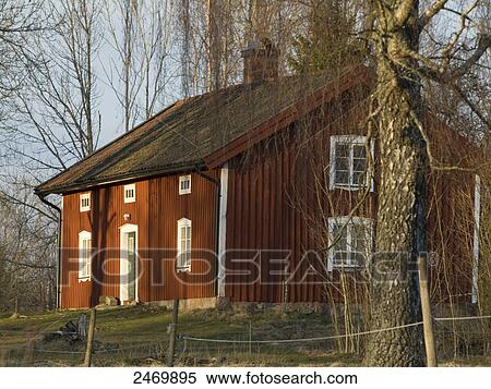 Tree in front of torp, Hoeghult, Sweden View Large Photo Image Stock Photography - Tree in front of torp, Hoeghult, Sweden . Fotosearch