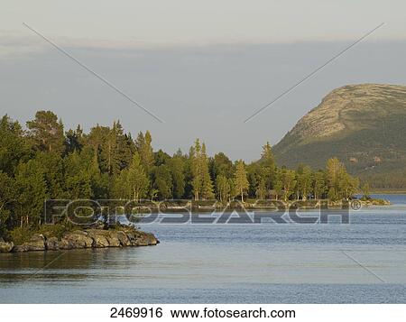 Trees at lakeside, Rondane National Park, Fjell, Hordaland County, Norway View Large Photo Image Stock Photograph - Trees at lakeside, Rondane National Park, Fjell, Hordaland County, Norway . Fotosearch