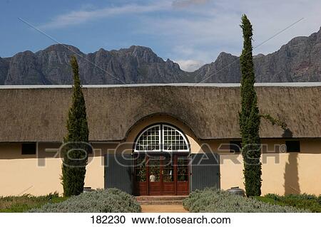 Stock Image - Trees in front of building . Fotosearch