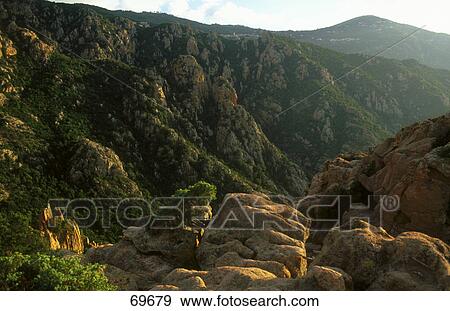 Stock Photo - Trees on hills, Les Calanche, Corsica, France . Fotosearch