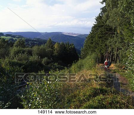 Two hikers walking on forest trail, Germany  View Large Photo Image Picture - Two hikers walking on forest trail, Germany . Fotosearch