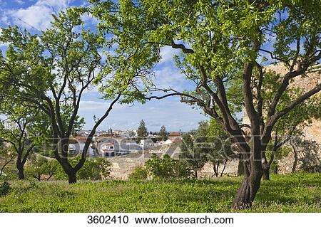 View of Lagos with city wall, Algarve, Portugal View Large Photo Image Stock Image - View of Lagos with city wall, Algarve, Portugal . Fotosearch