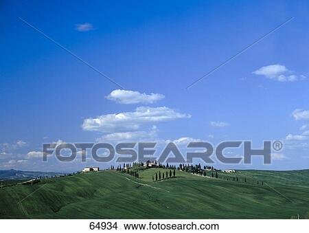 Village on meadow, Leonina, Tuscany, Italy View Large Photo Image Picture - Village on meadow, Leonina, Tuscany, Italy . Fotosearch