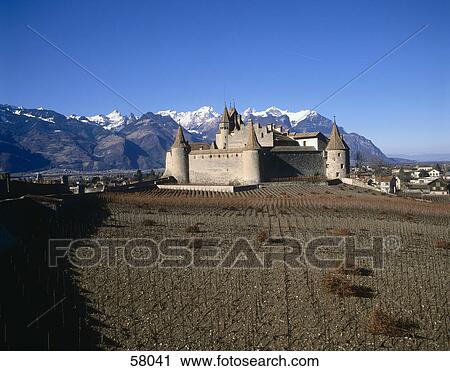 Vineyard in front of castle with mountain range in background, Aigle Castle, Alps, Aigle, Vaud, Switzerland View Large Photo Image Stock Image - Vineyard in front of castle with mountain range in background, Aigle Castle, Alps, Aigle, Vaud, Switzerland . Fotosearch
