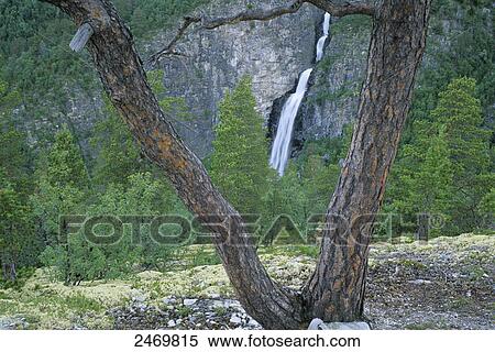 Stock Photography - Waterfall in forest, Rondane National Park, Vestfossen, Buskerud, Norway . Fotosearch