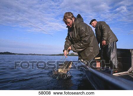 Woman fishing in sea, Chiemsee, Munich, Bavaria, Germany View Large Photo Image Stock Photo - Woman fishing in sea, Chiemsee, Munich, Bavaria, Germany . Fotosearch