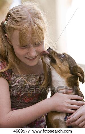 犬 舐めること 女の子 顔 写真館 イメージ館 Fotosearch