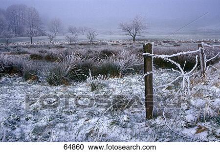 Stock Image - Barbed wire fence on snowy landscape . Fotosearch