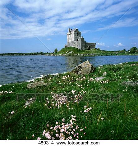 Castle at waterfront, Dunguaire Castle, Galway Bay, Co Galway, Ireland View Large Photo Image Picture - Castle at waterfront, Dunguaire Castle, Galway Bay, Co Galway, Ireland . Fotosearch
