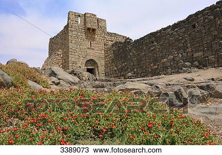 Castle Qasr Al-Azraq, Jordan, Asia View Large Photo Image Stock Image - Castle Qasr Al-Azraq, Jordan, Asia . Fotosearch