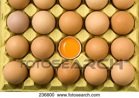Close-up of broken egg in egg carton View Large Photo Image Stock Image - Close-up of broken egg in egg carton . Fotosearch