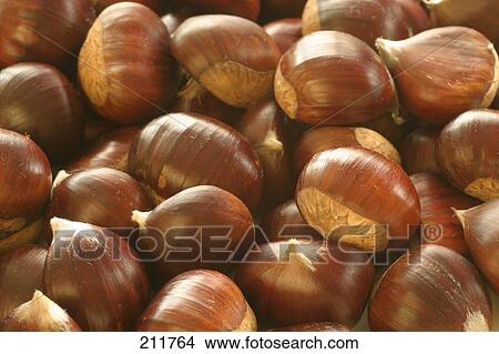 Close-up of chestnuts View Large Photo Image Picture - Close-up of chestnuts . Fotosearch