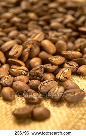 Close-up of coffee beans View Large Photo Image Stock Photograph - Close-up of coffee beans . Fotosearch