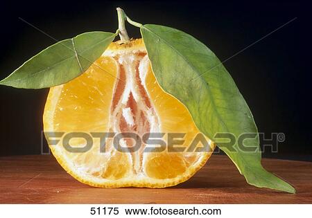 Stock Photography - Close-up of half a tangerine . Fotosearch