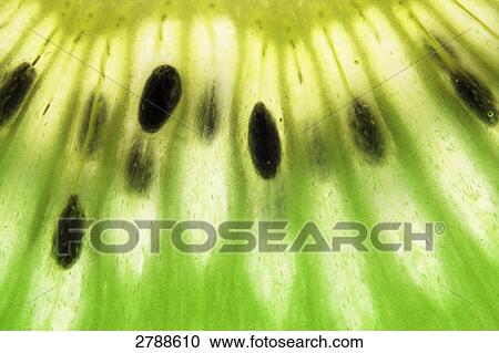 Close-up of slice of kiwi fruit View Large Photo Image Stock Image - Close-up of slice of kiwi fruit . Fotosearch