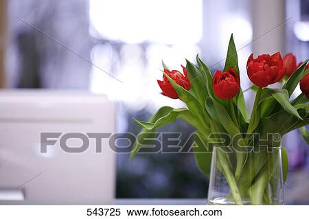 Stock Photography - Close-up of Tulips in vase . Fotosearch