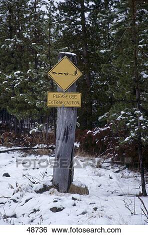 Close-up of warning sign, Yukon, Canada, North America View Large Photo Image Stock Photograph - Close-up of warning sign, Yukon, Canada, North America . Fotosearch