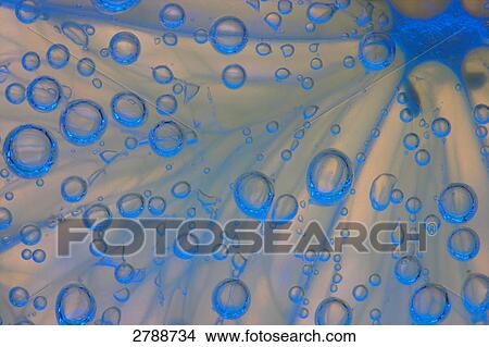 Picture - Close-up of waterdrop background . Fotosearch
