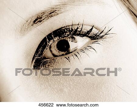 Close-up of woman's eye View Large Photo Image Stock Image - Close-up of woman's eye . Fotosearch