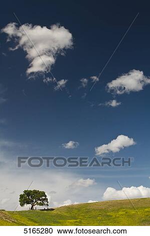 Stock Image - Clouds at sky, Anatolia, Turkey . Fotosearch