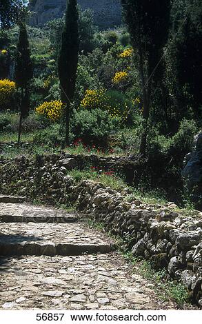 Stock Photo - Cobblestone path in a forest . Fotosearch
