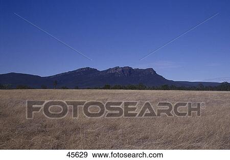 Dry grass in field and mountains in background, Grampians, Victoria, Australia View Large Photo Image Stock Photo - Dry grass in field and mountains in background, Grampians, Victoria, Australia . Fotosearch