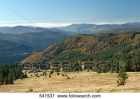 Forest with mountain range, Black Forest, Baden-Wurttemberg, Germany View Large Photo Image Stock Image - Forest with mountain range, Black Forest, Baden-Wurttemberg, Germany . Fotosearch