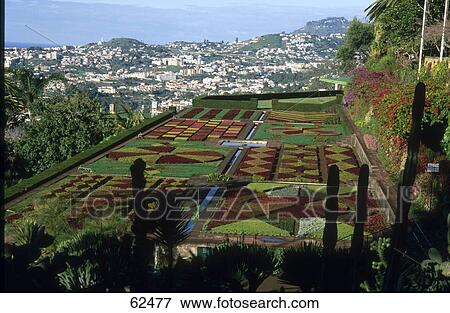 High angle view of a garden, Madeira, Portugal View Large Photo Image Stock Photo - High angle view of a garden, Madeira, Portugal . Fotosearch