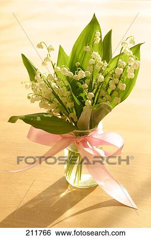 High angle view of bunch of flowers in vase View Large Photo Image Stock Photograph - High angle view of bunch of flowers in vase . Fotosearch
