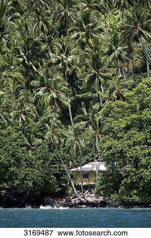 Stock Photo - Hut and palms, Hapatoni, Tahuata, French Polynesia . Fotosearch