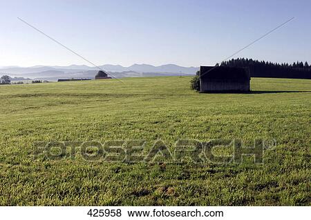 Hut in field, Baden-Wuerttemberg, Germany View Large Photo Image Stock Photo - Hut in field, Baden-Wuerttemberg, Germany . Fotosearch