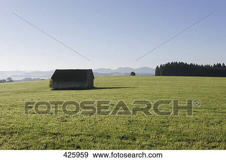 Hut in field, Baden-Wuerttemberg, Germany View Large Photo Image Stock Photo - Hut in field, Baden-Wuerttemberg, Germany . Fotosearch
